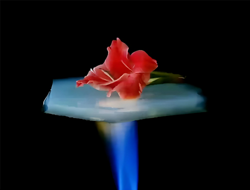 把握“十五五”節(jié)能新機(jī)遇：鼎業(yè)集團(tuán)攜無(wú)機(jī)阻熱材料，邀工業(yè)伙伴共赴節(jié)能降碳新賽道